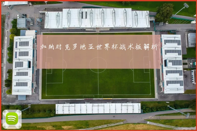 加纳对克罗地亚世界杯战术板解析