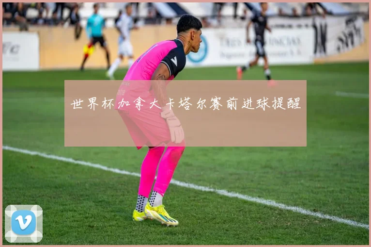 世界杯加拿大卡塔尔赛前进球提醒