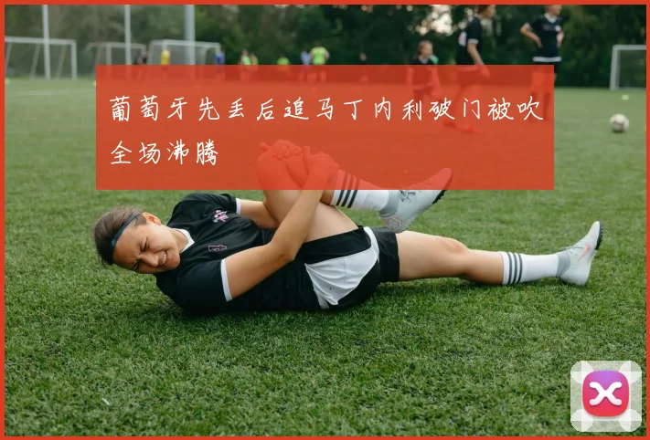 葡萄牙先丢后追马丁内利破门被吹全场沸腾