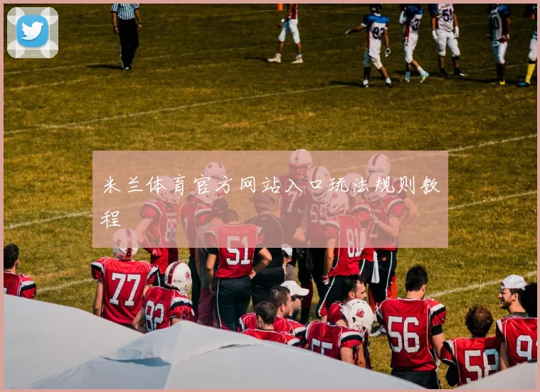 米兰体育官方网站入口玩法规则教程